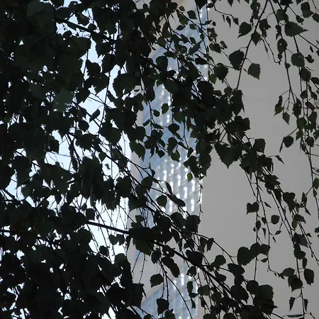 Val Senart 1ere Avenue